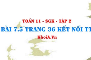 Bài 7.5 trang 36 Toán 11 Kết nối tri thức Tập 2